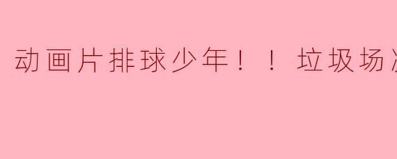 动画片排球少年！！垃圾场决战TC