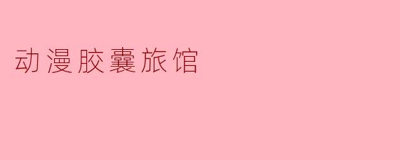 动漫胶囊旅馆