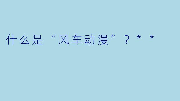 什么是“风车动漫”？**