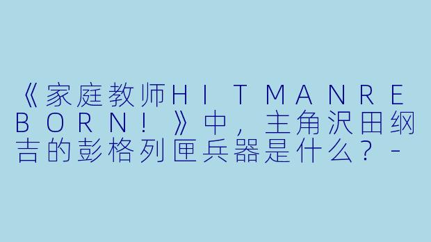 《家庭教师HITMANREBORN!》中，主角沢田纲吉的彭格列匣兵器是什么？-家庭教师reborn动漫
