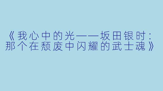 《我心中的光——坂田银时：那个在颓废中闪耀的武士魂》