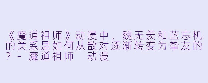 《魔道祖师》动漫中，魏无羡和蓝忘机的关系是如何从敌对逐渐转变为挚友的？-魔道祖师 动漫