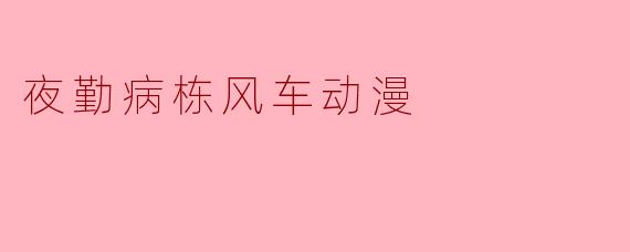 夜勤病栋风车动漫