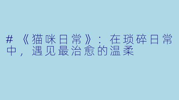 #《猫咪日常》：在琐碎日常中，遇见最治愈的温柔