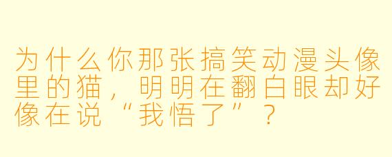 为什么你那张搞笑动漫头像里的猫，明明在翻白眼却好像在说“我悟了”？