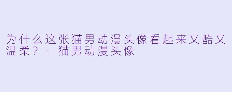 为什么这张猫男动漫头像看起来又酷又温柔？