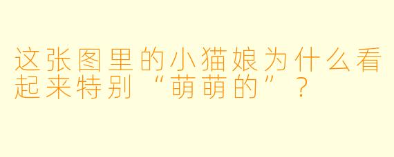 这张图里的小猫娘为什么看起来特别“萌萌的”？