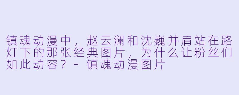 镇魂动漫中，赵云澜和沈巍并肩站在路灯下的那张经典图片，为什么让粉丝们如此动容？-镇魂动漫图片