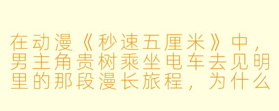 在动漫《秒速五厘米》中，男主角贵树乘坐电车去见明里的那段漫长旅程，为什么被很多观众称为“最令人心碎的雪夜电车”？