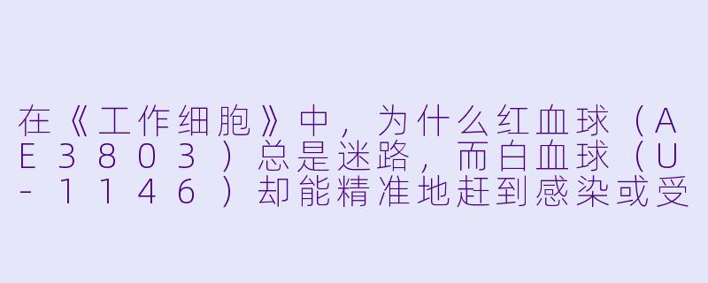 在《工作细胞》中,为什么红血球(AE3803)总是迷路,而白血球(U-1146)却能精准地赶到感染或受伤现场?-工作细胞 动漫