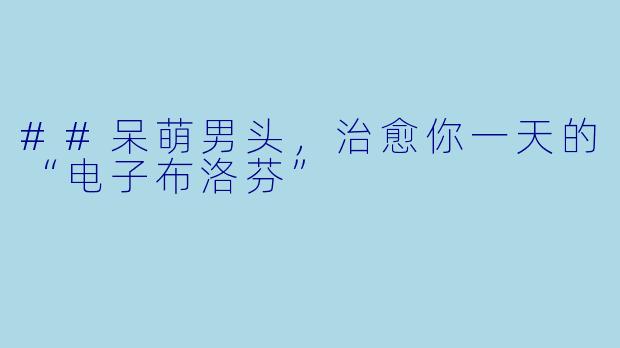 ##呆萌男头,治愈你一天的“电子布洛芬”