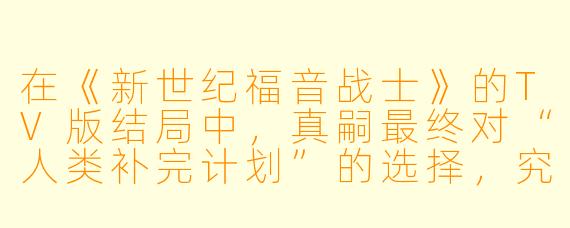 在《新世纪福音战士》的TV版结局中，真嗣最终对“人类补完计划”的选择，究竟意味着他真正接纳了他人，还是仅仅逃避了现实中的痛苦？