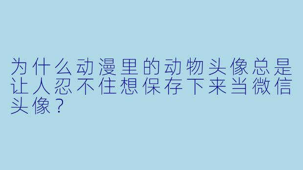 为什么动漫里的动物头像总是让人忍不住想保存下来当微信头像?