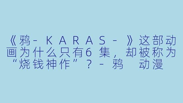 《鸦-KARAS-》这部动画为什么只有6集，却被称为“烧钱神作”？-鸦 动漫