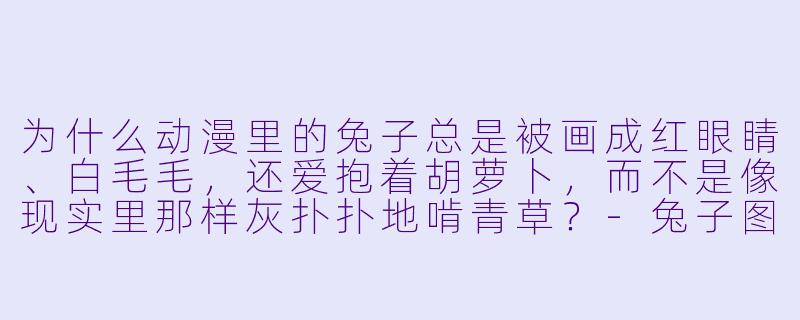 为什么动漫里的兔子总是被画成红眼睛、白毛毛，还爱抱着胡萝卜，而不是像现实里那样灰扑扑地啃青草？