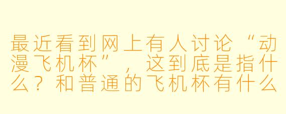 最近看到网上有人讨论“动漫飞机杯”,这到底是指什么?和普通的飞机杯有什么区别?