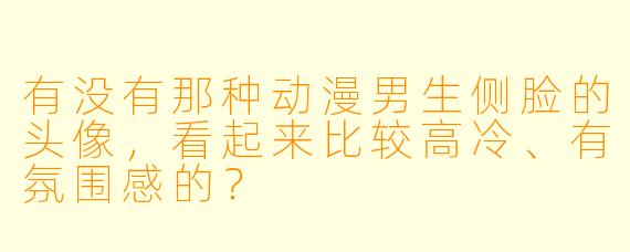 有没有那种动漫男生侧脸的头像，看起来比较高冷、有氛围感的？