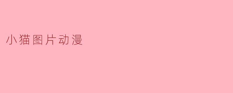 小猫图片动漫
